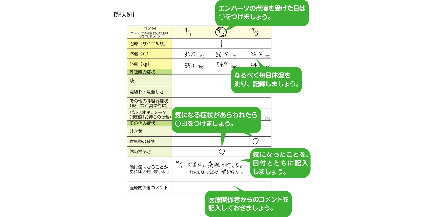 ENHERTU Diary の書き方