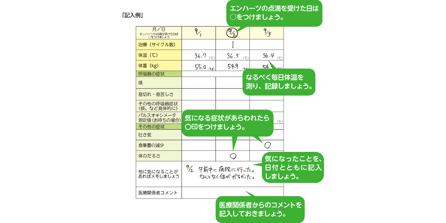 ENHERTU Diary の書き方